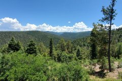 SantaFe2021_4_120759