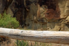 legendrock2025-58